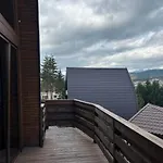 віяна Country house Palyanytsya