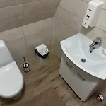 віяна Country house