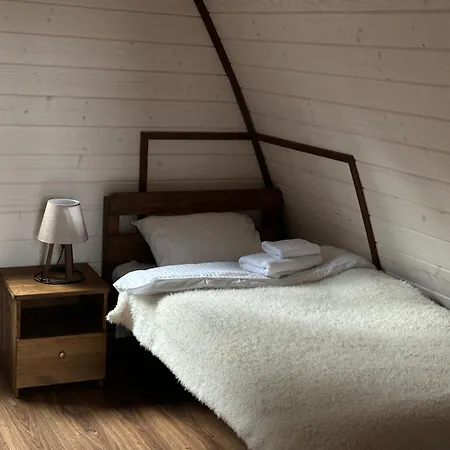 віяна Country house Palyanytsya