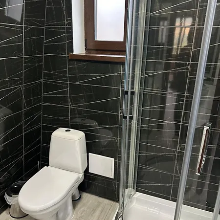 віяна Country house Palyanytsya